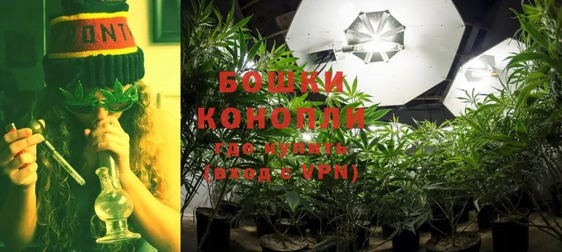 Канабис White Widow  Полярные Зори 